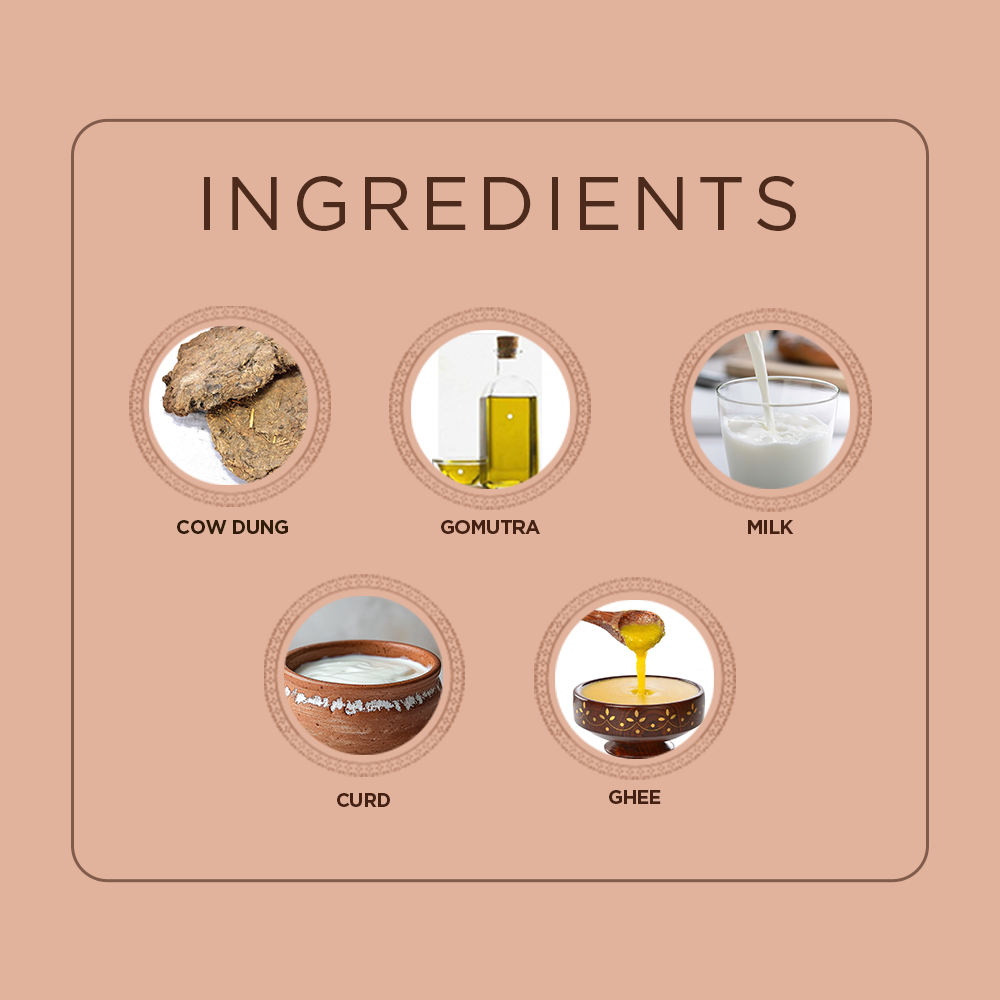 Gow Pooja Panchagavya